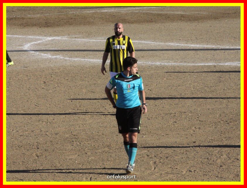 190310 Cephal_Torrenov 159_tn.jpg